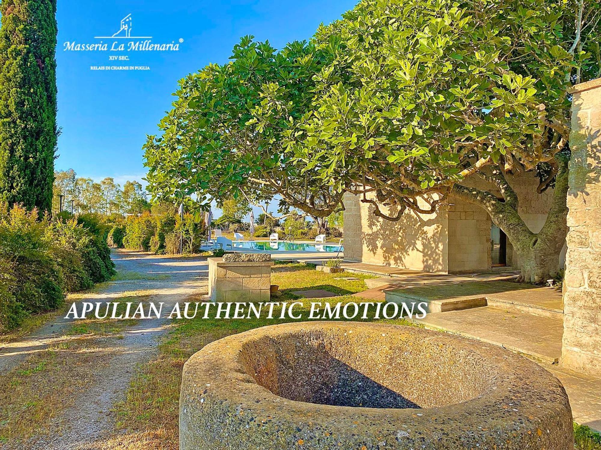 Masseria La Millenaria San Foca Eksteriør billede
